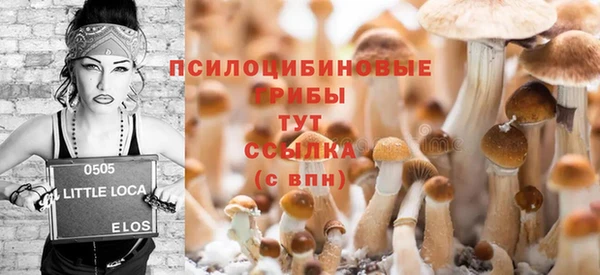 гидра Алексеевка