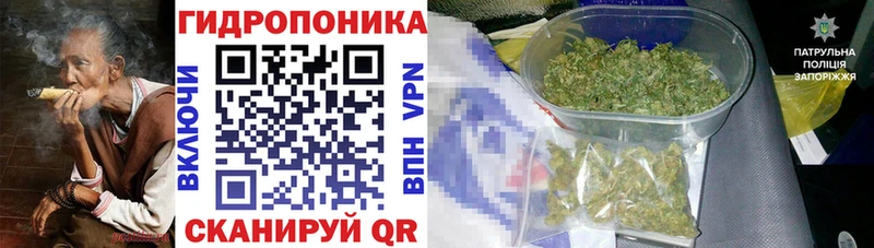 купить  сайты  Брюховецкая  OMG ссылки  Марихуана OG Kush 